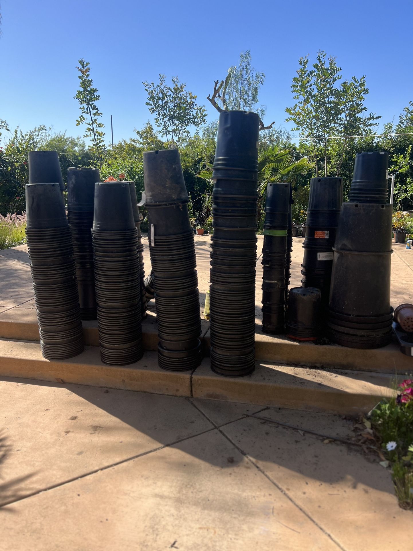 Nursery Plant / Garden / PlantPots Sale!! $1