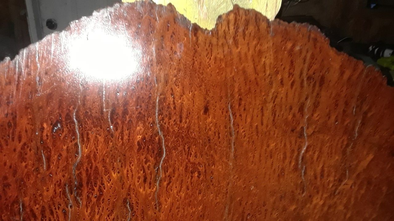 A piece of burl wood which is been buried and water for 2,000 years 28 by 30 inch and 1 inch thick