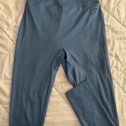 Blue Gymshark Leggings 