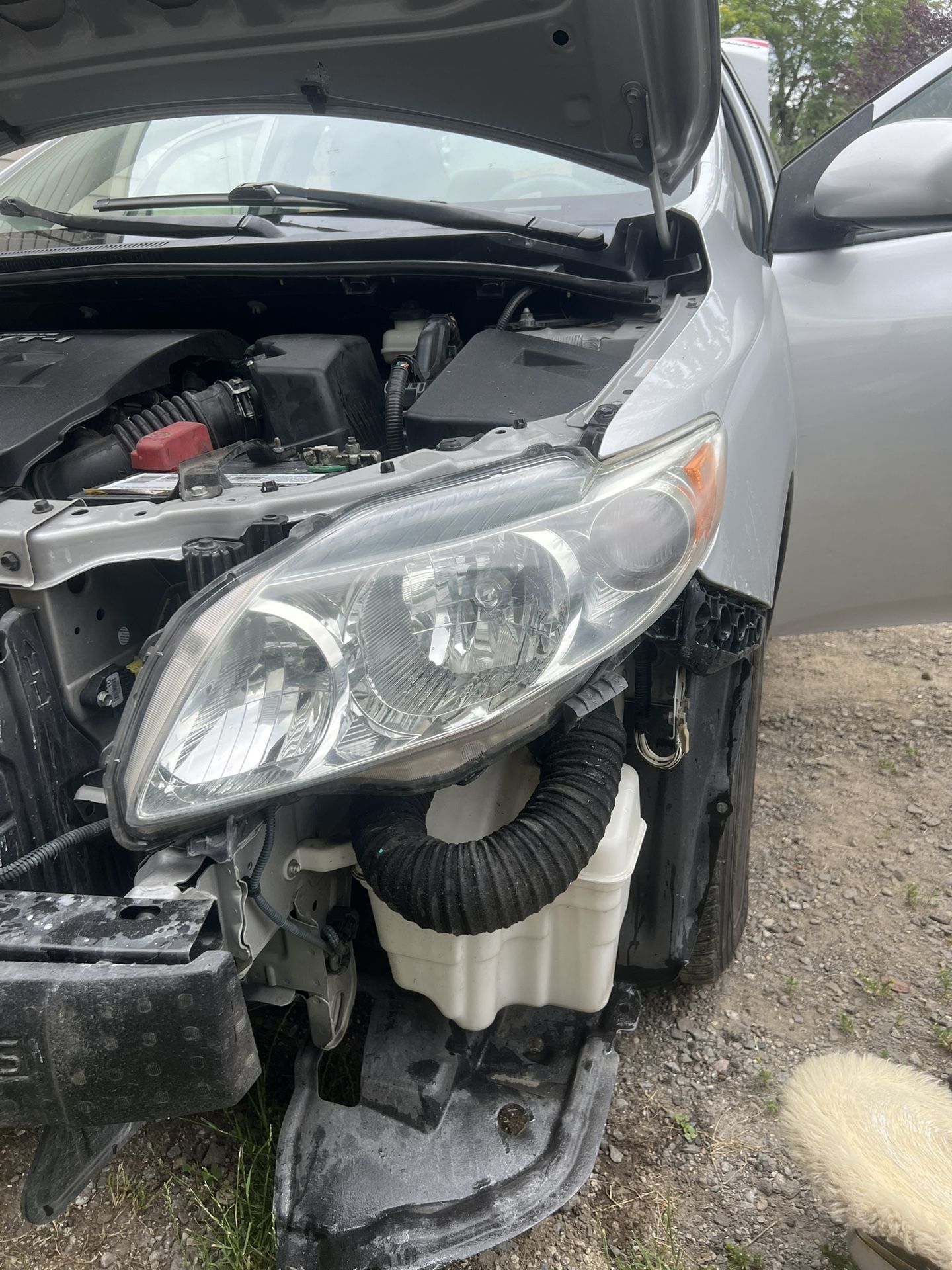 2009 2010 Toyota Corolla Headlight