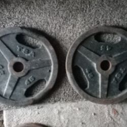  TSA Weight Plates 45Lbs × 2 = $120 