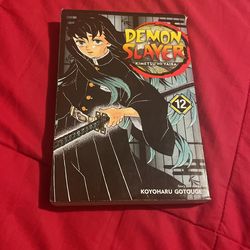 Demon Slayer Book Vol12