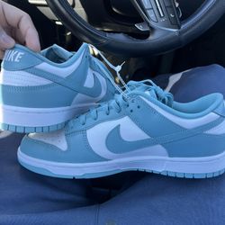 Baby Blue Nike Dunks (SIZE 11)