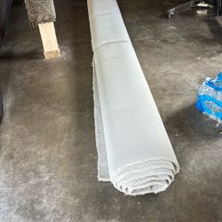 Brand New Carpet
