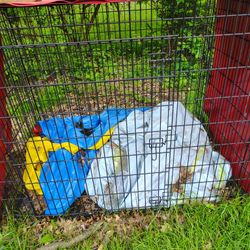 XXL HEAVY DUTY CONNECTABLE RUNNING KENNEL CAGE 