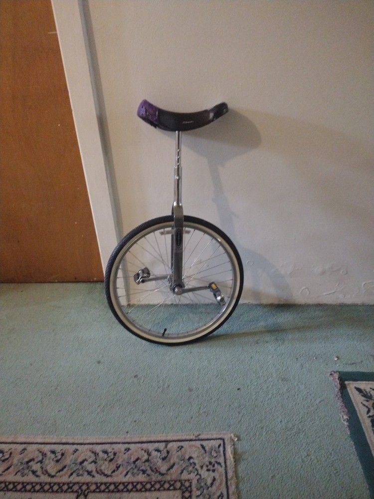 Vintage Schwinn Unicycle