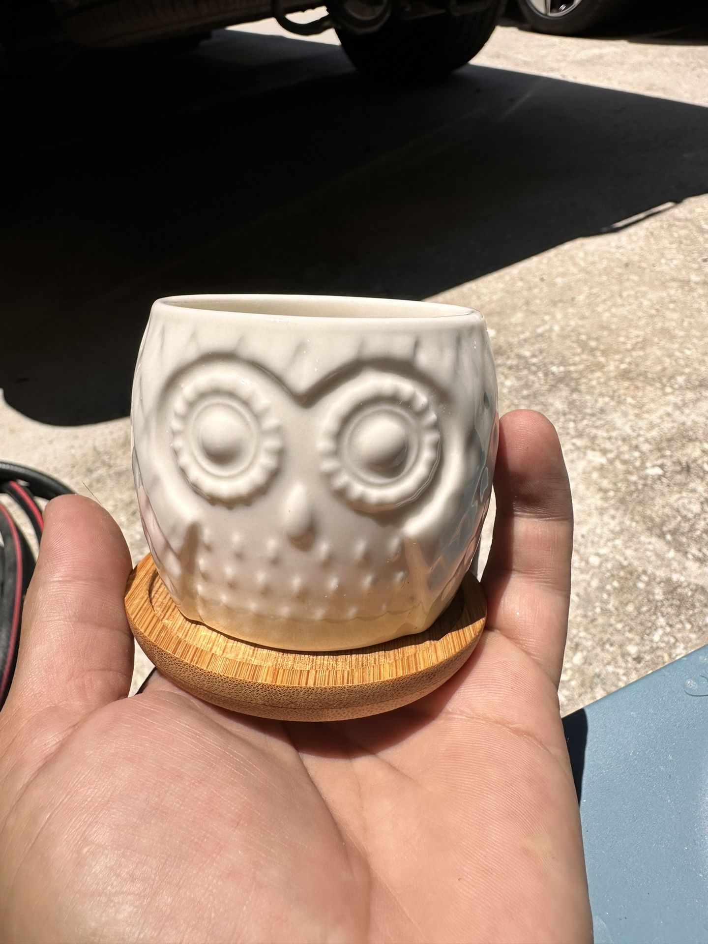 Ceramic Planters Succulent