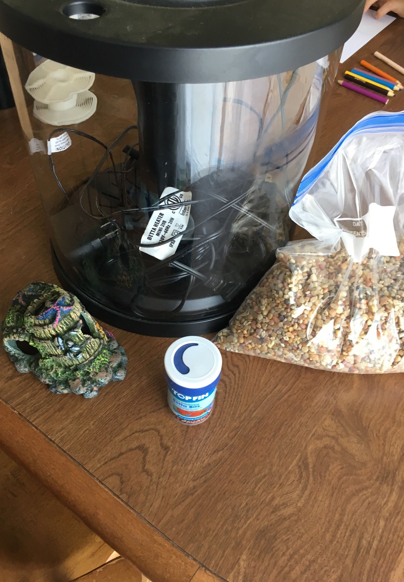 Fish tank and supplies