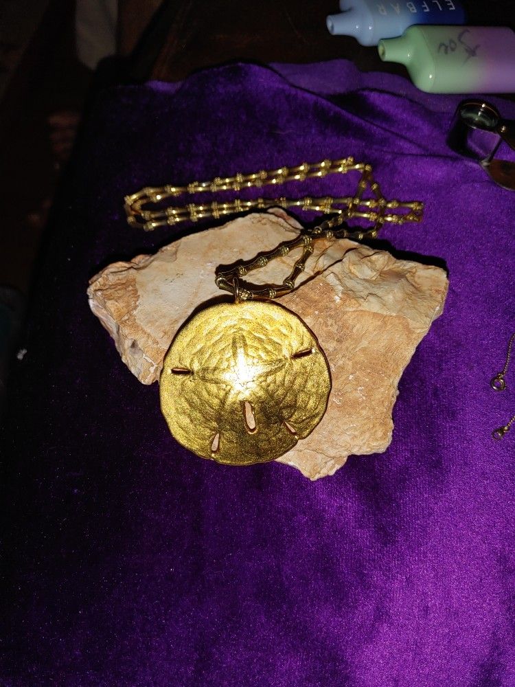 Sand Dollar Necklace. Very Special!