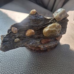 Petrified Wood Decoration 