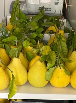 Pomelo Buoi Bien Hoa