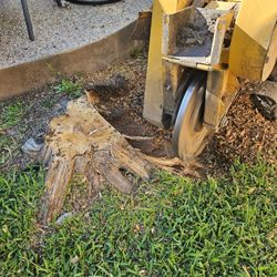 Stump Grinding 