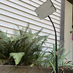 Quality Plant light 