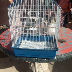 Bird Cage