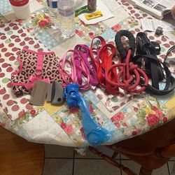 Small Dog Accessories 1 Harness 5 Leashes 2 Little Combs And Poop Bags