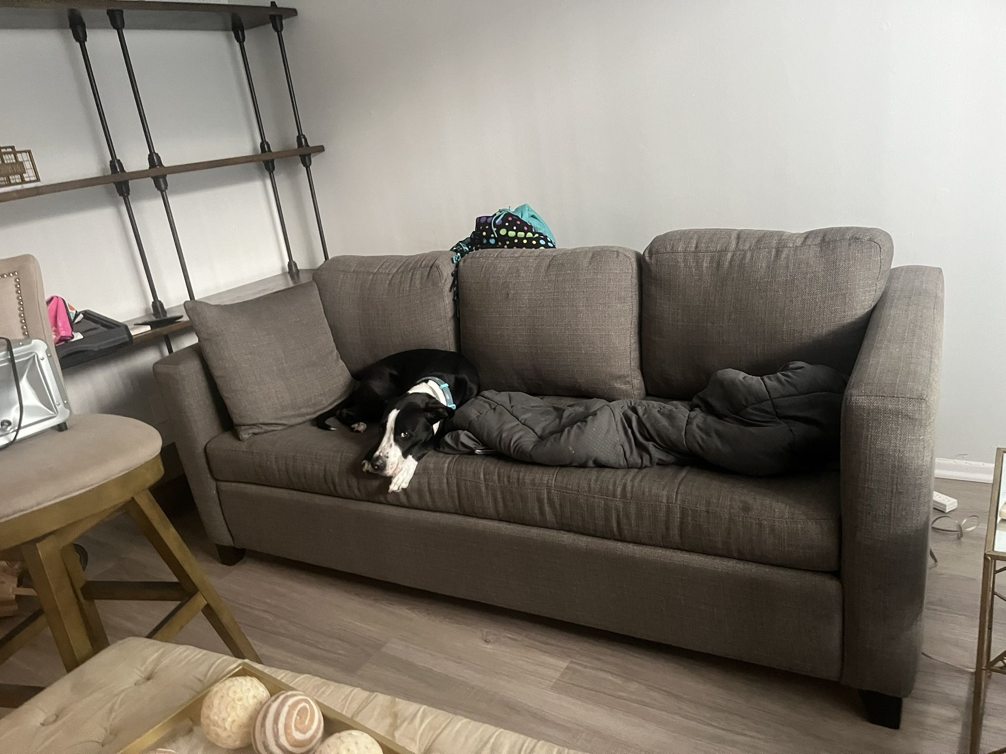 Amazing Sofa Bed - Loveseat Grey Good Cond