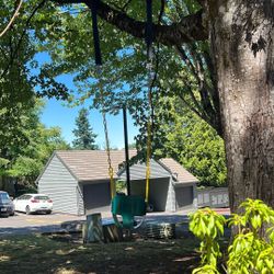Baby/Toddler Swing with Straps 