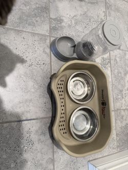 Cat Feeders