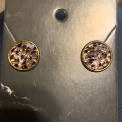 Brown Stud Earrings