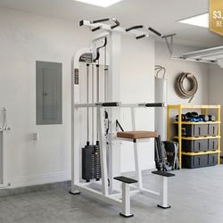 Atlantis Assisted Chin Dip Machine (Commercial Grade) – Gym Quality – $1,500 OBO