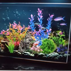 Wonder Factory 2.6 Gallon Fish Tank Aquarium Starter Kit