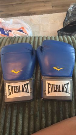 Everlast Boxing gloves
