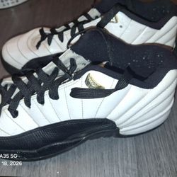 Kids Size 7y  Air JORDON 12 GS TAXI