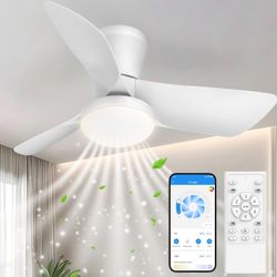 Ceiling Fans Lights with APP & Remote Control: 30 Inch Low Profile Ceiling Fans with Lights Reversible Small Flush Mount Ceiling Fan 3 Colors Quiet 6 