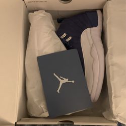 Air Jordan 12 Indigo Size 9.5