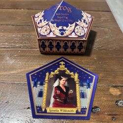 Harry Potter Chocolate Frog Ignatia Wildsmith