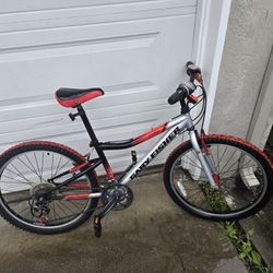 Gary Fisher Tyro Kids 24" MTB Bike AMAZING Condition MINT