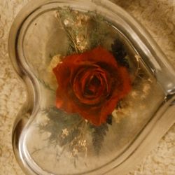 Natural Expression A Real Freeze Dried Rose Red 