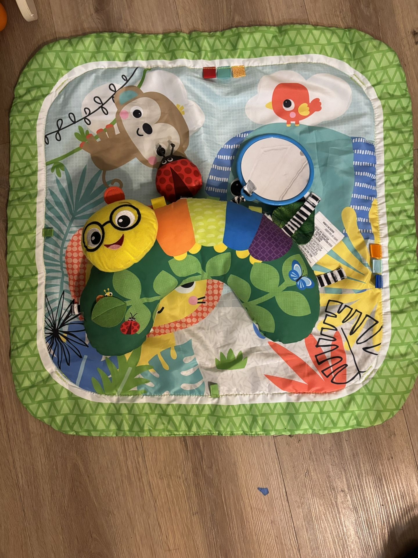 Tummy Time Baby Einstein