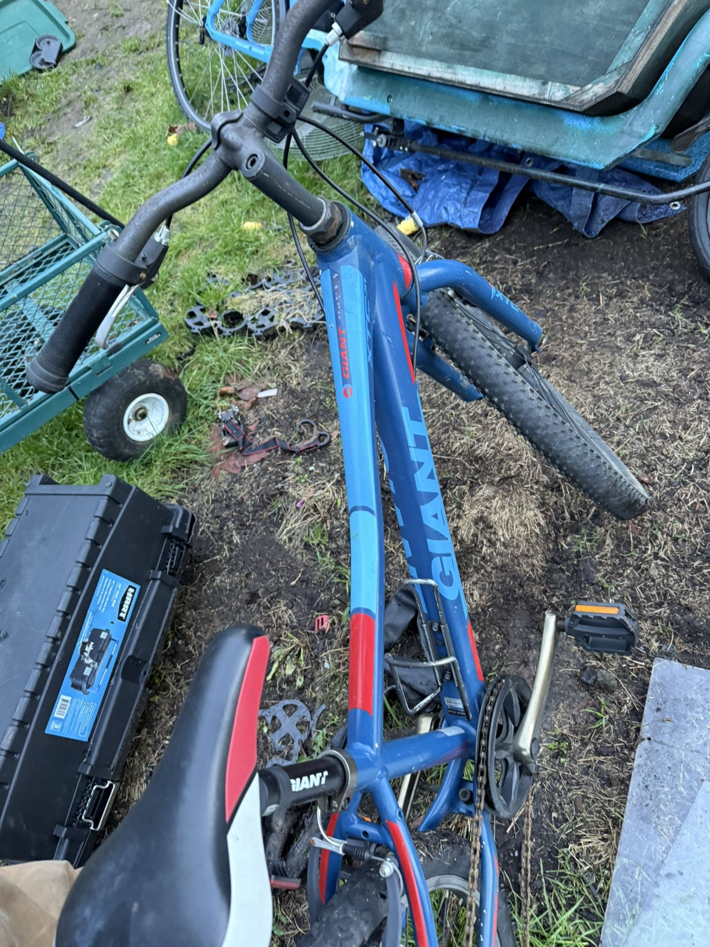 Giant Mt Bike