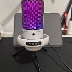 Ferbuee Microphone 