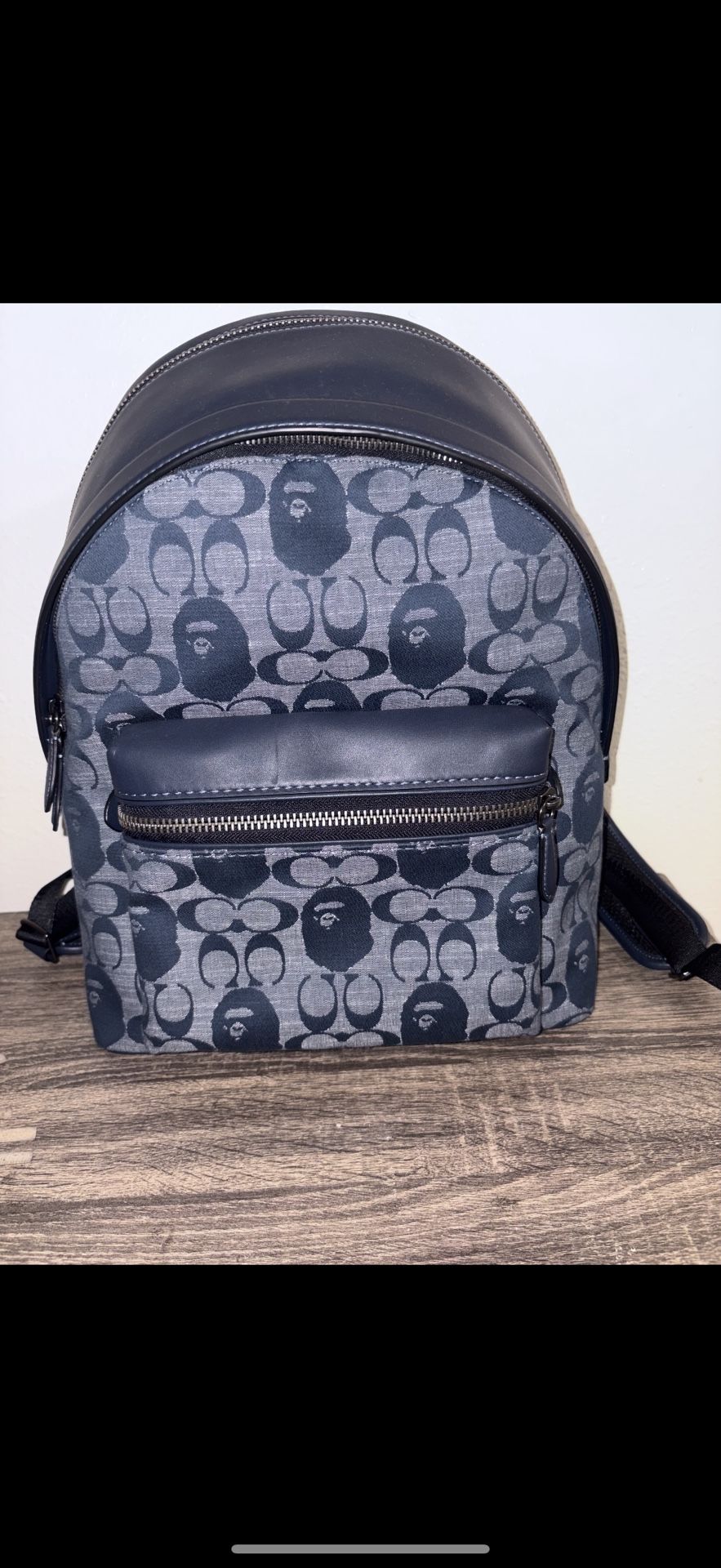 Coach Bape Backpack