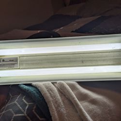 2' Fluorescent Shop Light 