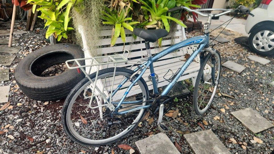 Schwinn Bike Large Frame