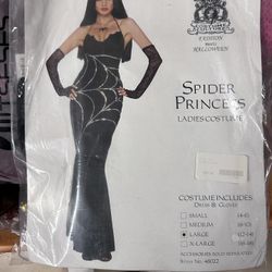 Spider Witch Woman’s Costume
