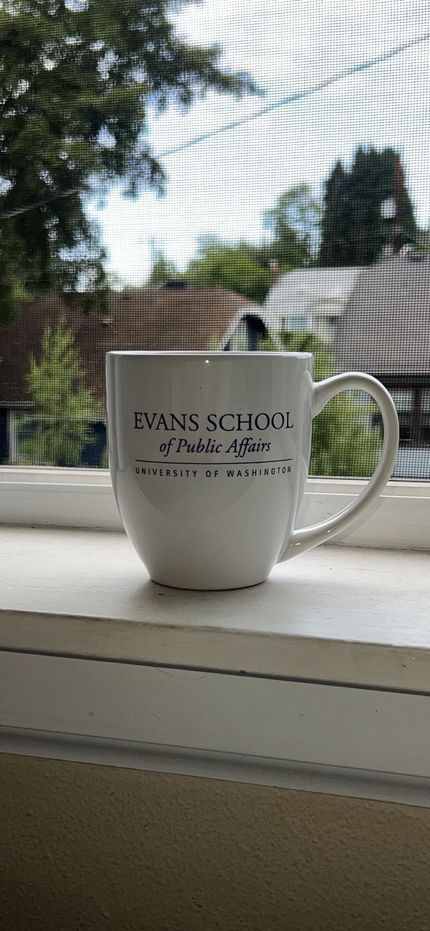 🟣Rare University of Washington Evans School Mugs🟣