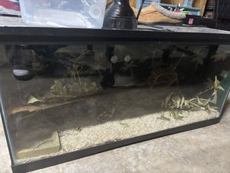 40 Gallon Reptile Tank
