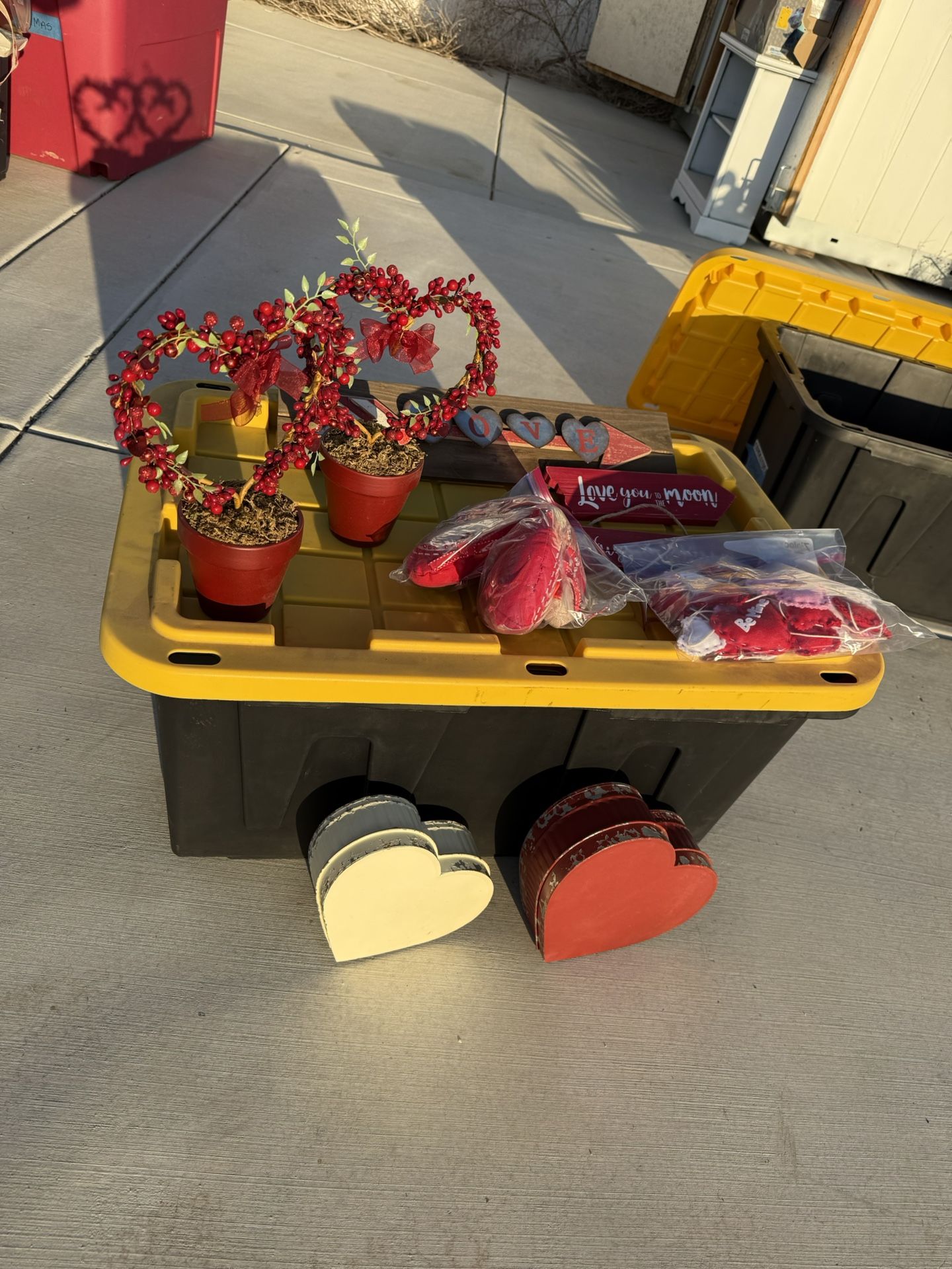 Valentine’s Day Decorations 