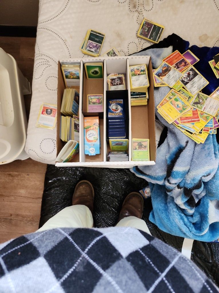 new pokemon cards