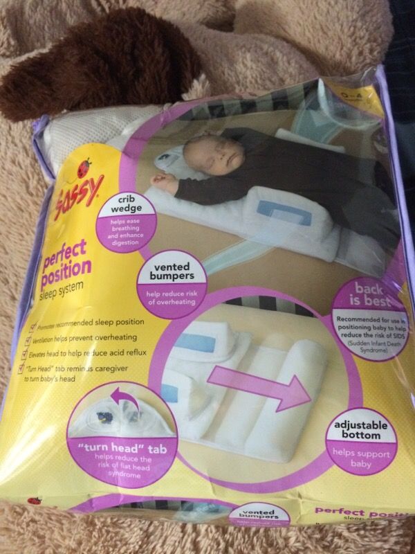 Sassy perfect position sleep system