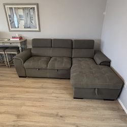Couch W Pull Out Bed & Storage (Sectional)