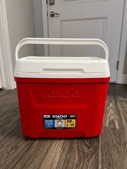 Free Igloo 28 Qt Cooler (26L) | Like New | Portable Ice Chest | Camping, Beach & Road Trips