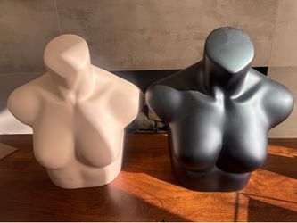 Retail/Boutique mannequins. High-end. Solid.