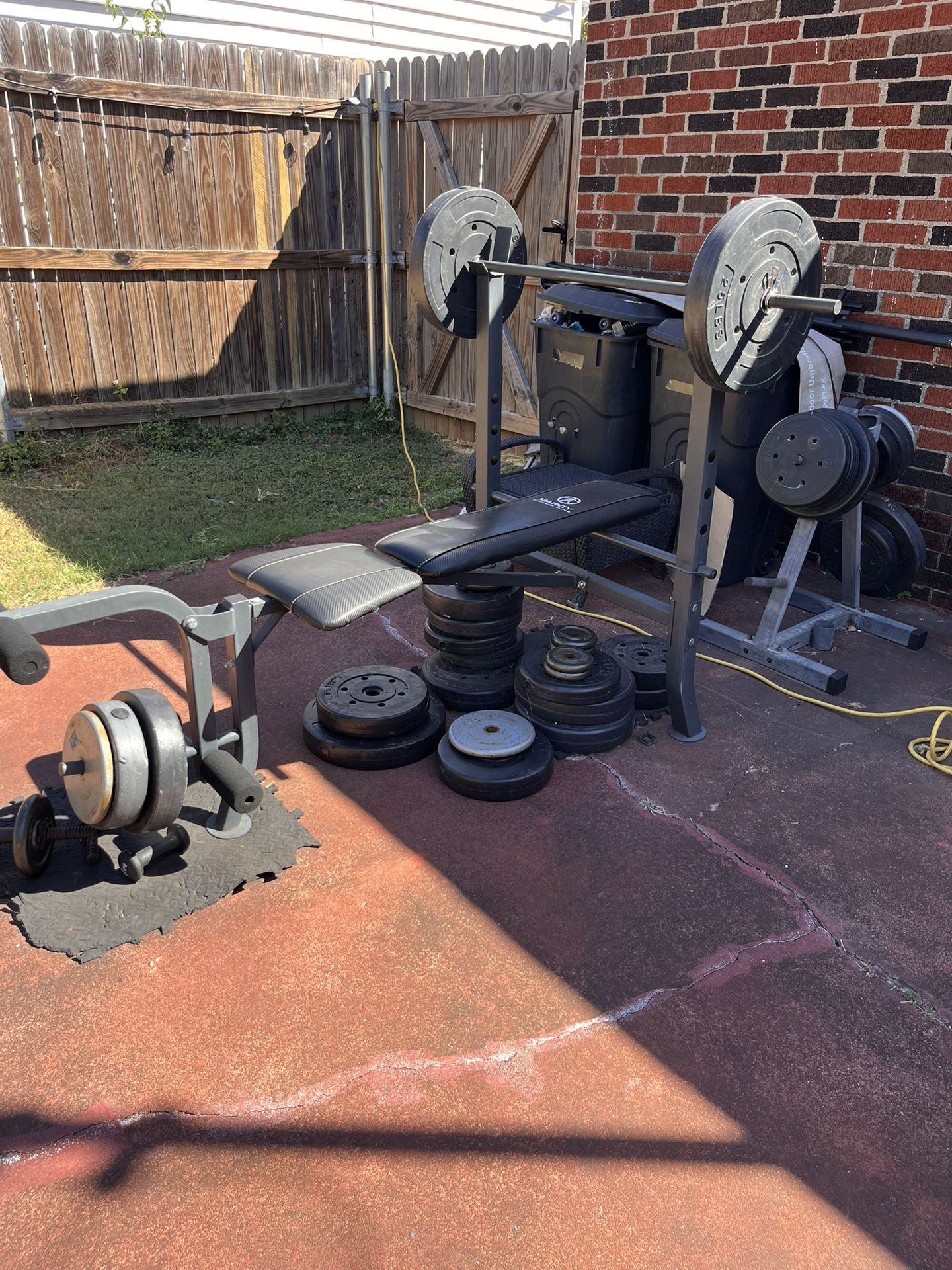Weight Bench And Weights