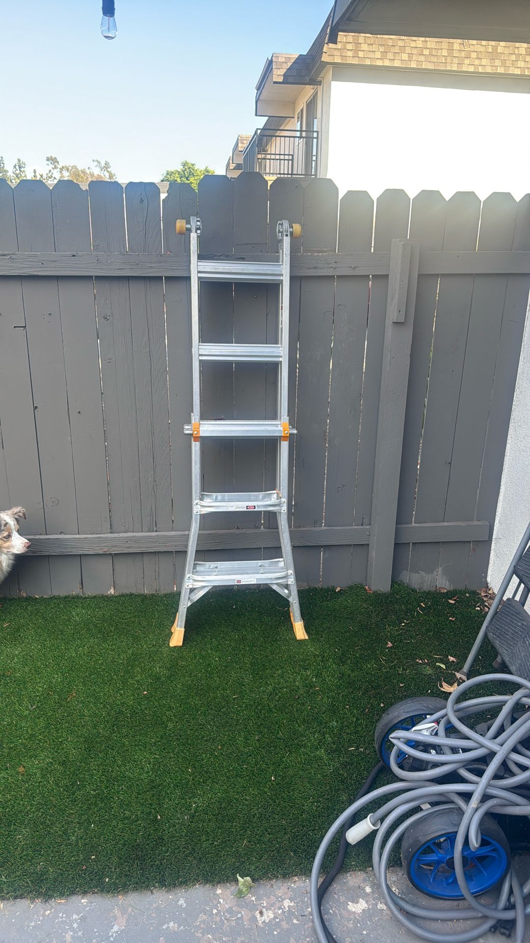 Ladder