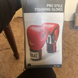 Pro Style Training Gloves